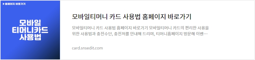 티머니 태그리스 지하철