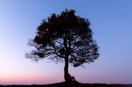 갑목일간 여성의 성격, 연애, 직업적 특징
