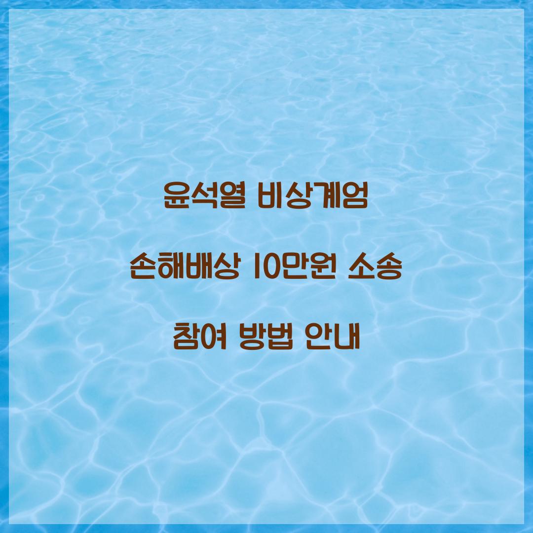 윤석열 비상계엄 손해배상