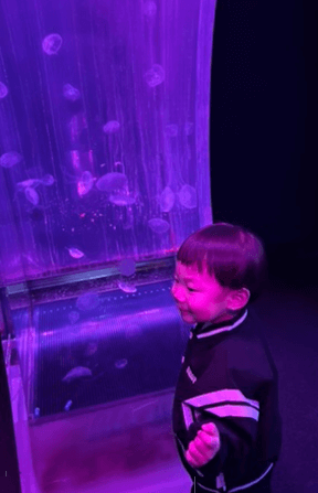 이란성 쌍둥이 임신 3-6주 증상 총정리