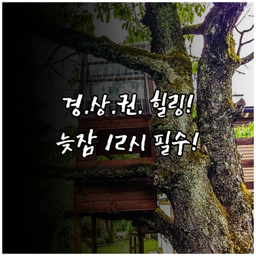 경상권 힐링 숙소 바비큐 체크아웃 1..