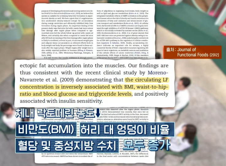 락토페린 효능