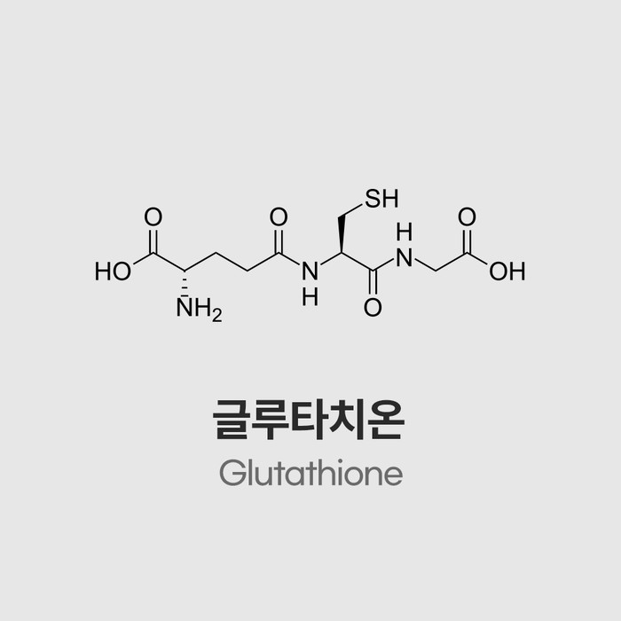 글루타치온먹는법