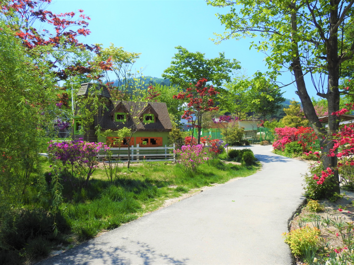 아침고요수목원 수국축제