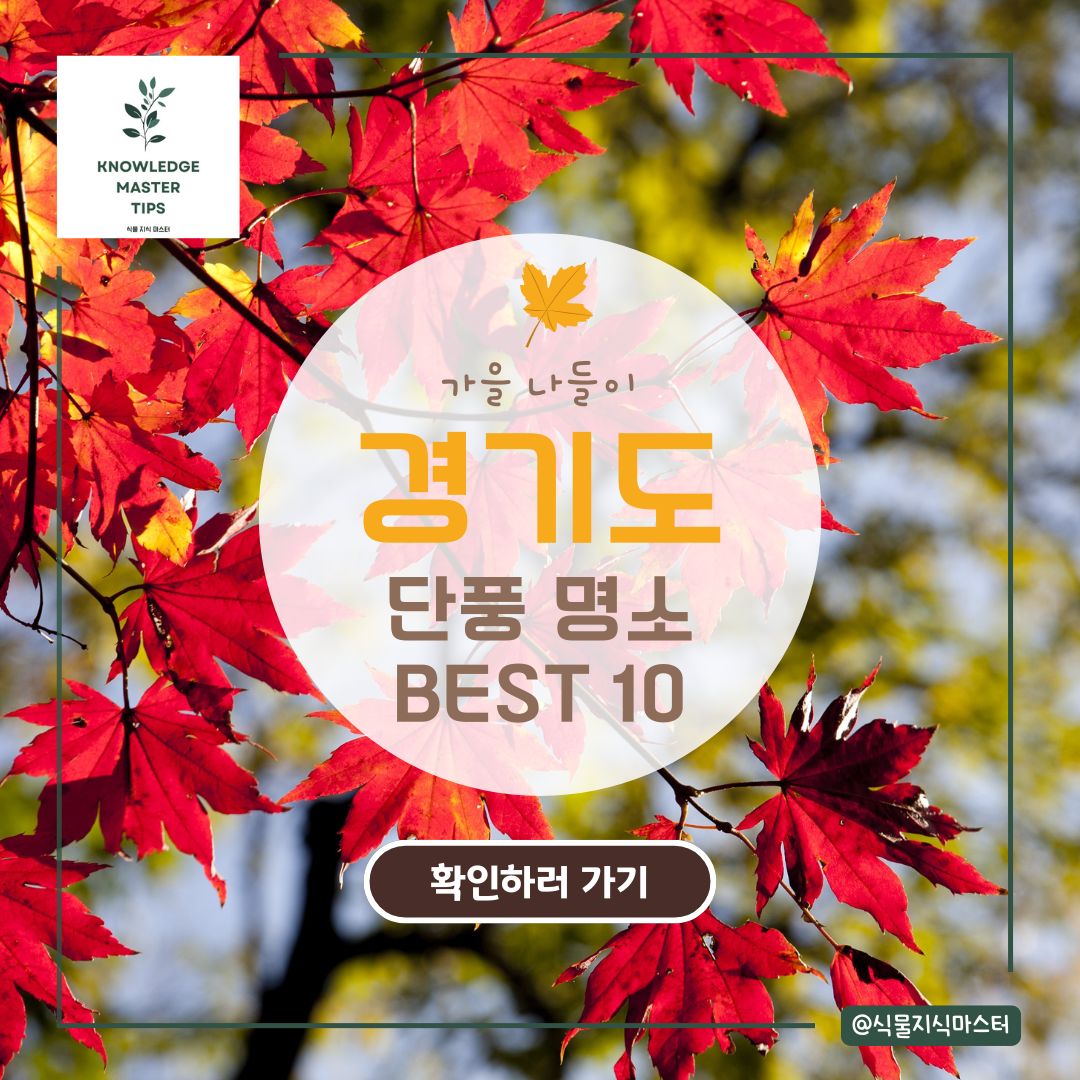 경기도 단풍 명소 BEST 10