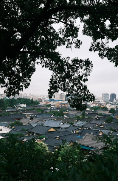 전주한옥마을 정원산책