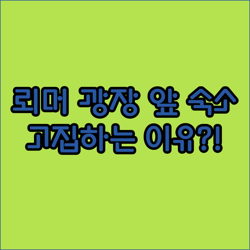 프랑크푸르트 여행객이 뢰머 광장 앞 ..