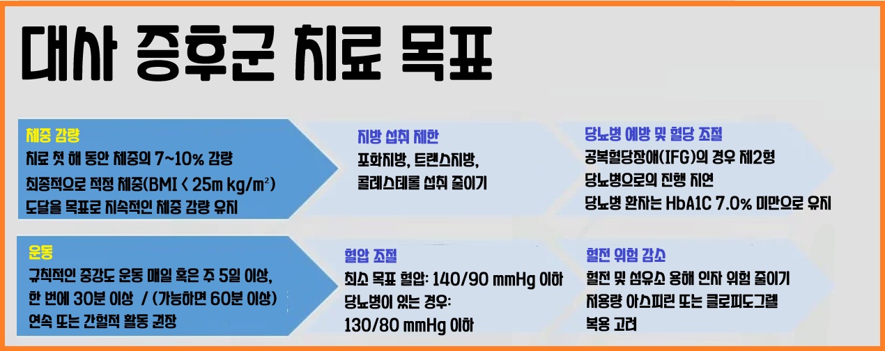 대사 증후군 치료 목표
