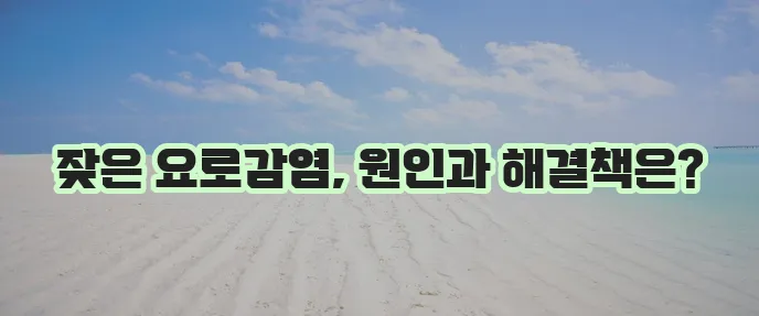 재발성 요로감염 원인과 확실한 극복방법을 알아봅시다!