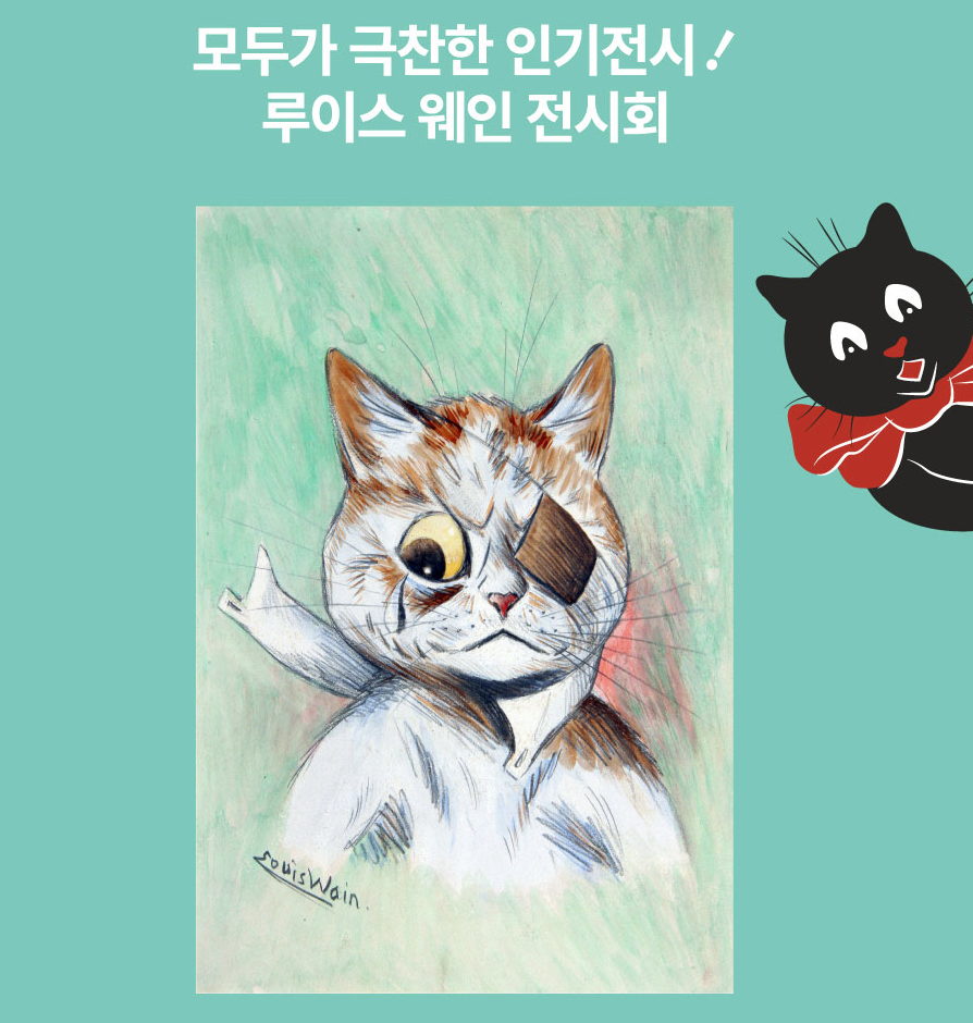 눈에 안대를 하고 있는 고양이 삽화