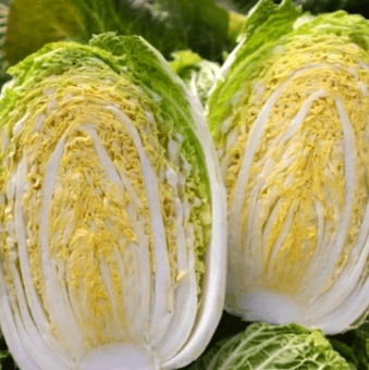 고랭지 절임배추