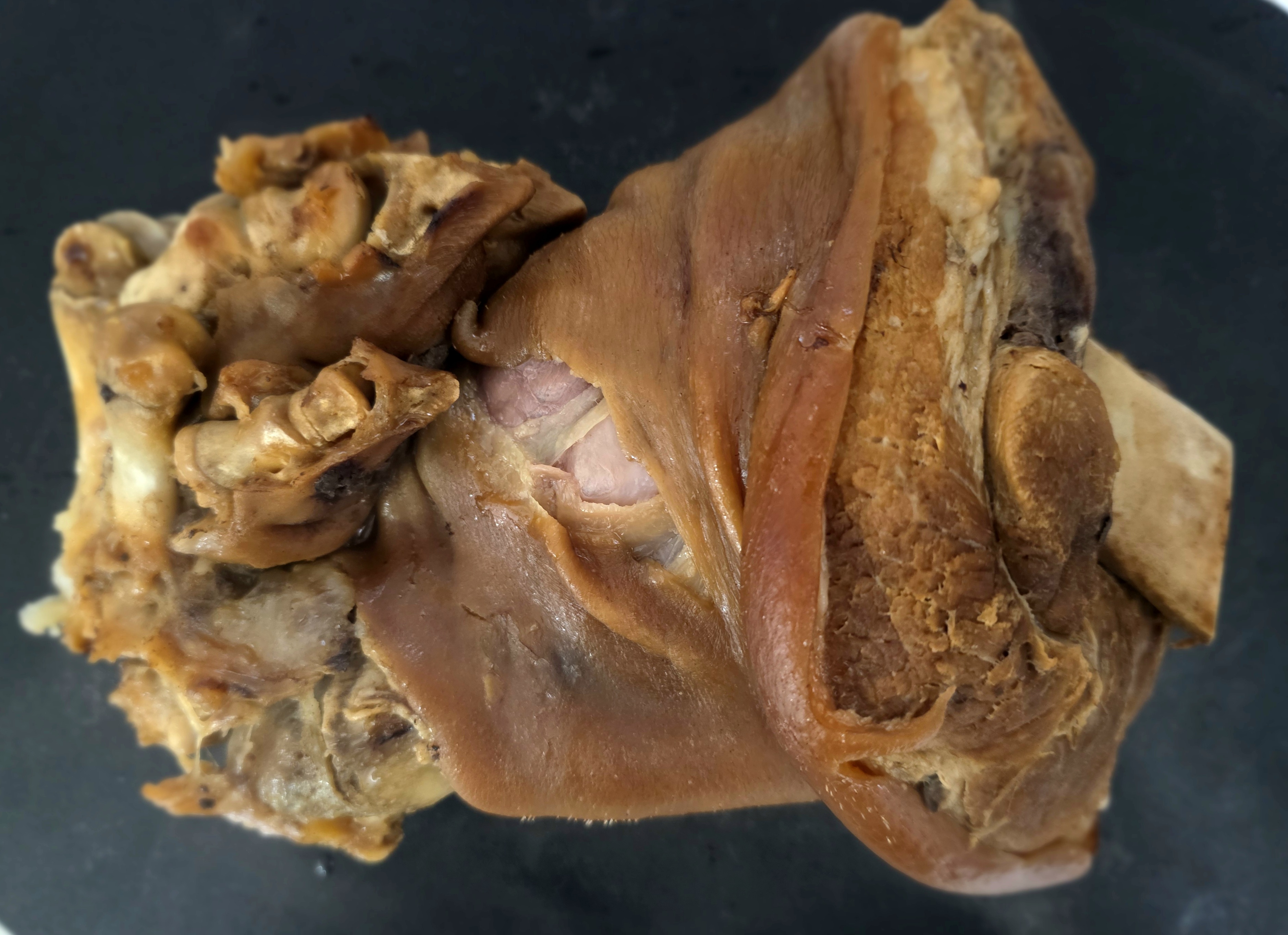 비주얼은-징그러워요.