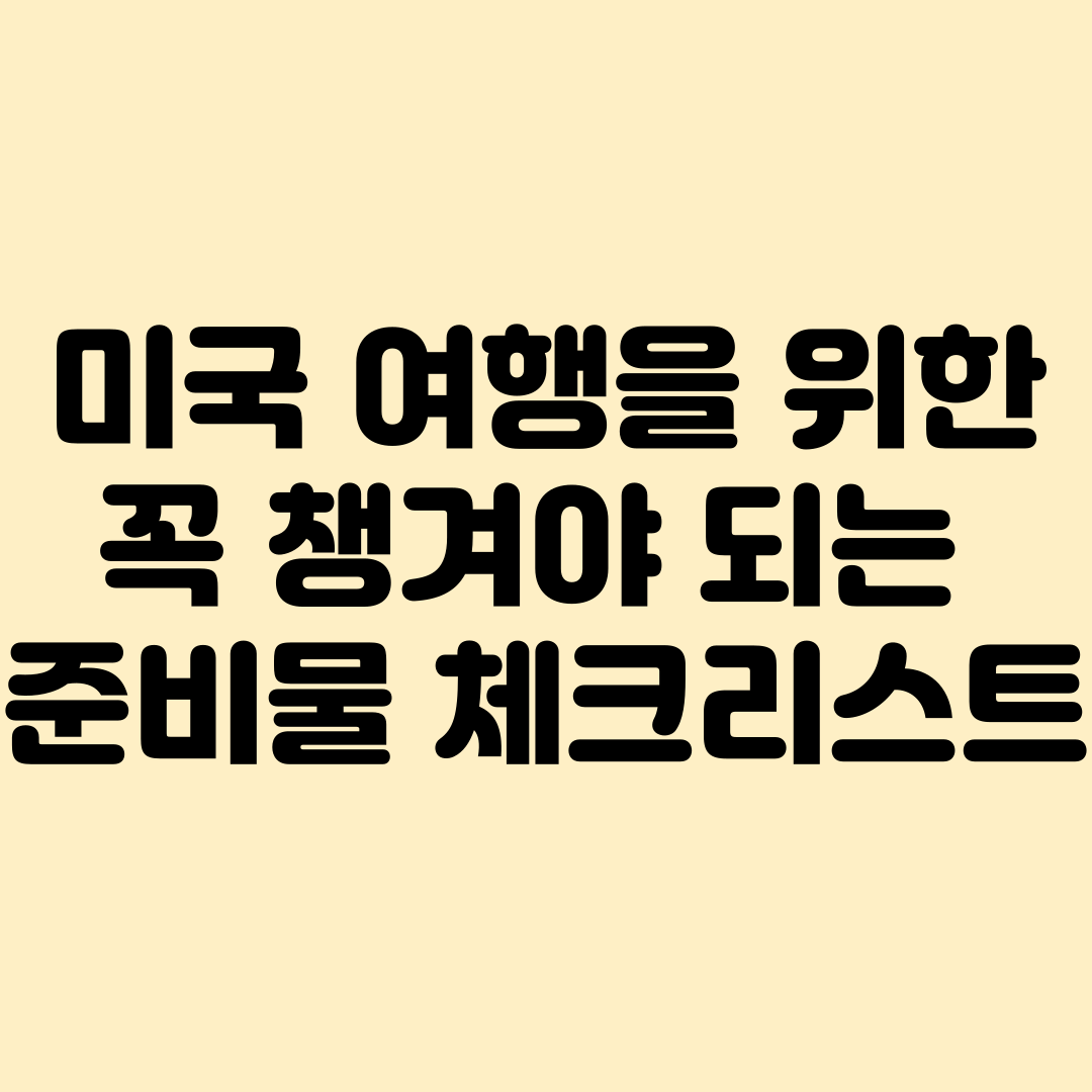 미국 여행을 위한 준비물체크리스트