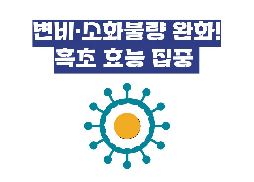 흑초 효능