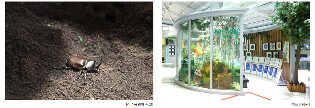 곤충의 특이한 행동이나 외형적인 특징을 통해 생물학적 호기심을 충족시킬 수 있는 좋은 기회가 됩니다.
