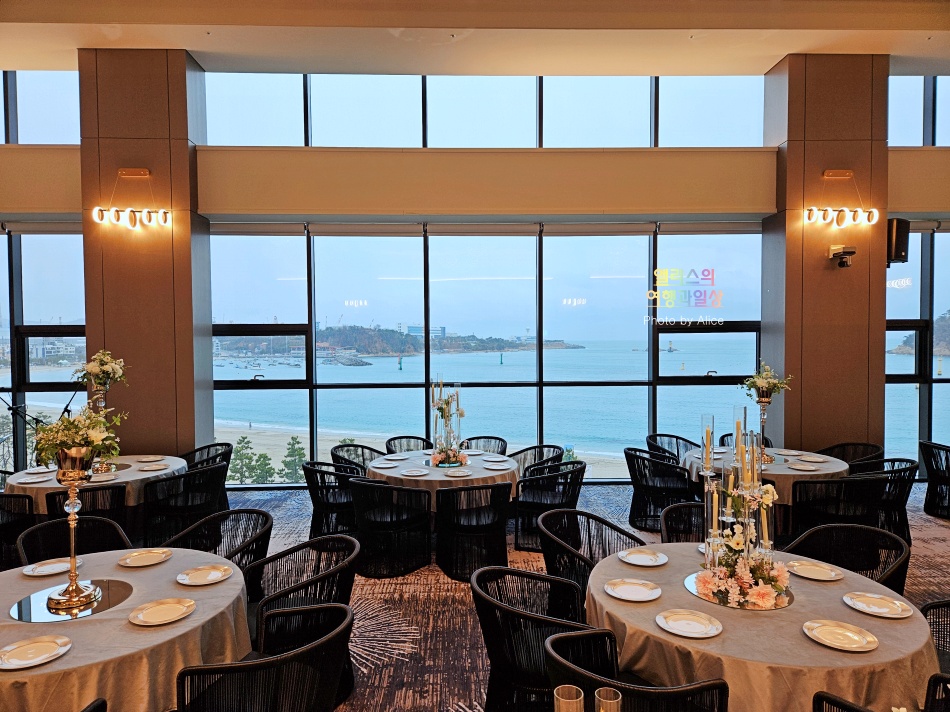울산 오션뷰 웨딩홀 결혼식장 투어 타니베이 호텔 & 웨딩 예식장 + 뷔페 후기