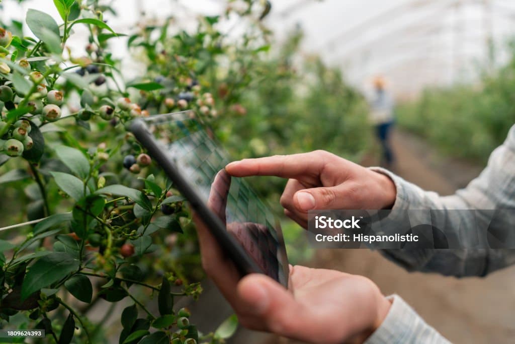 미래를 바꾸는 스마트팜: 농업과 기술의 혁신적 만남