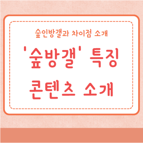 숲방갤 특징 숲인방갤 차이