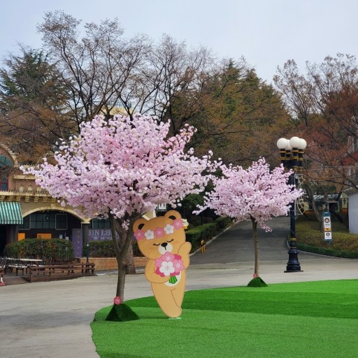 벚꽃 개화시기