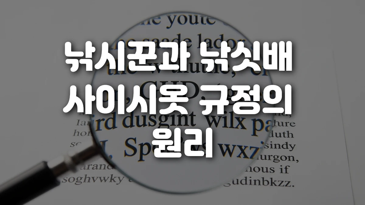 낚시꾼과 낚싯배 사이시옷 규정의 원리