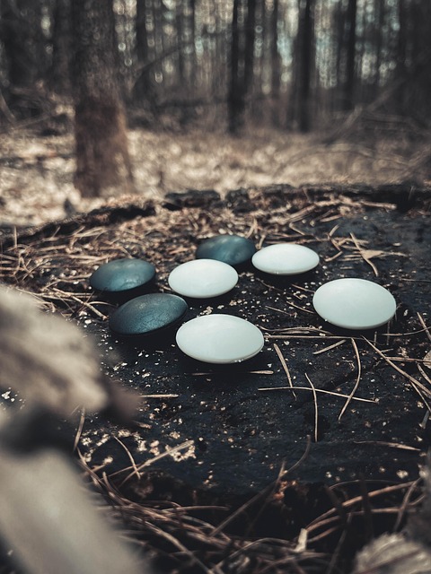 바둑의 기원에 대한 미스터리: 전설과 역사적 기록 비교