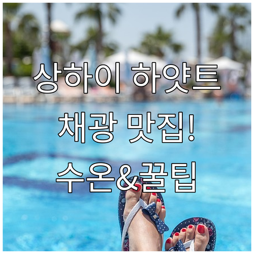 상하이 그랜드 하얏트 호텔 수영장 채..