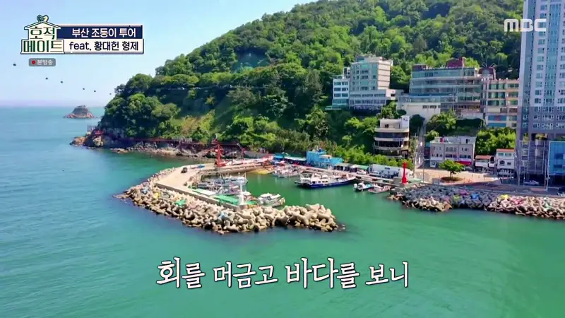 호적메이트 부산 조준호 조둥이 황대헌 형제 현지인 추천 모듬회 전복 해삼 소라 해산물 먹은 맛있는 포차 맛집 추천