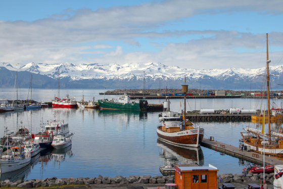 북극권 도시 관련 이미지