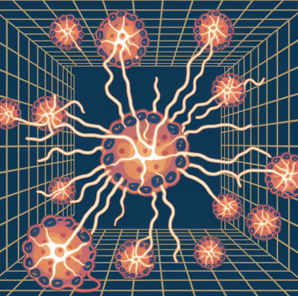 NAD+(나드 부스터) 효능&amp;#44; 노화와 난임 개선에 정말 도움이 될까?
