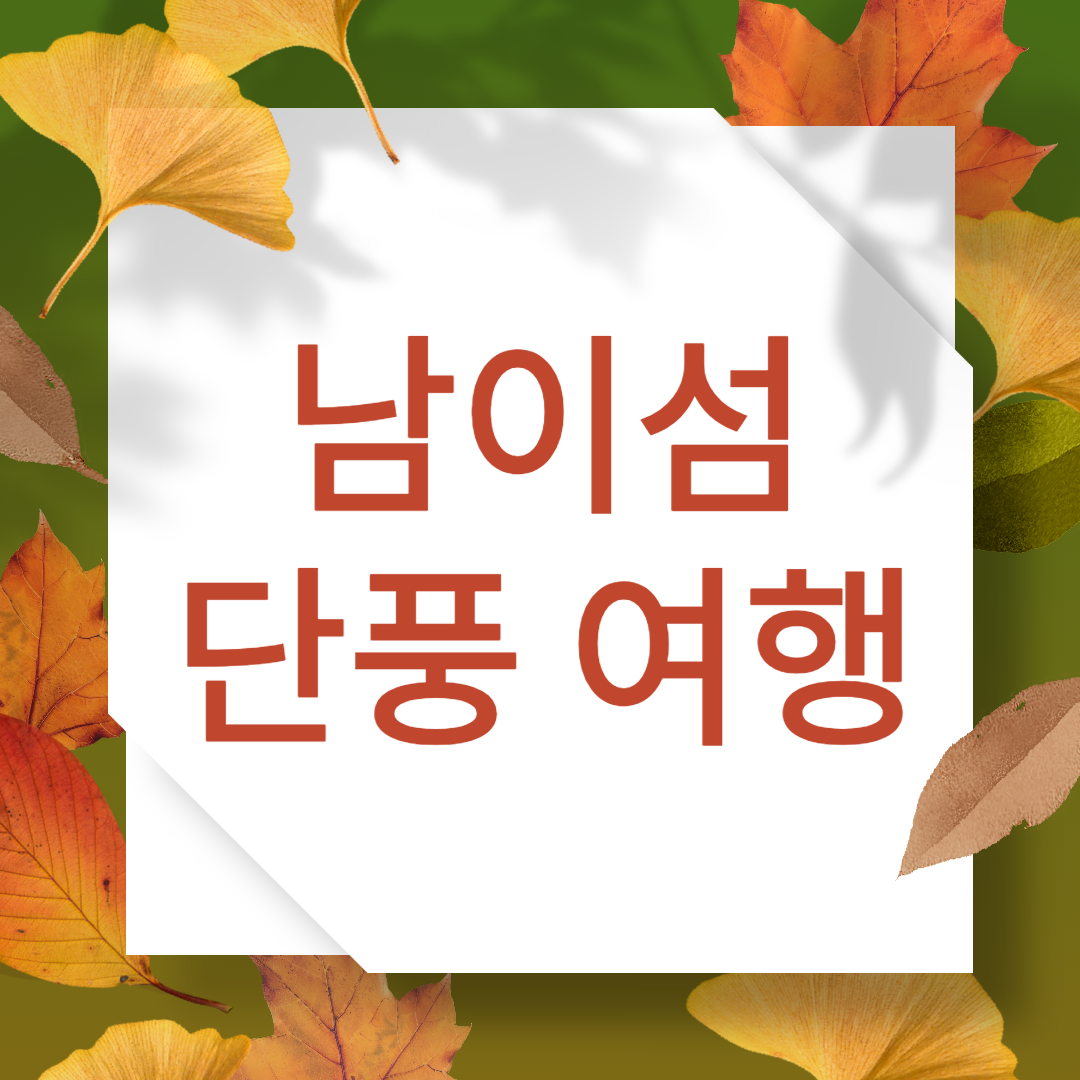 남이섬 단풍여행 - 단풍 절정시기, 추천코스, 배 시간표, 교통 및 주차장