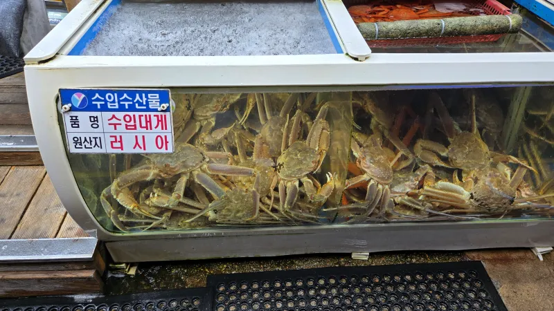 강구항 대게 맛집 수족관의 박달게 모습