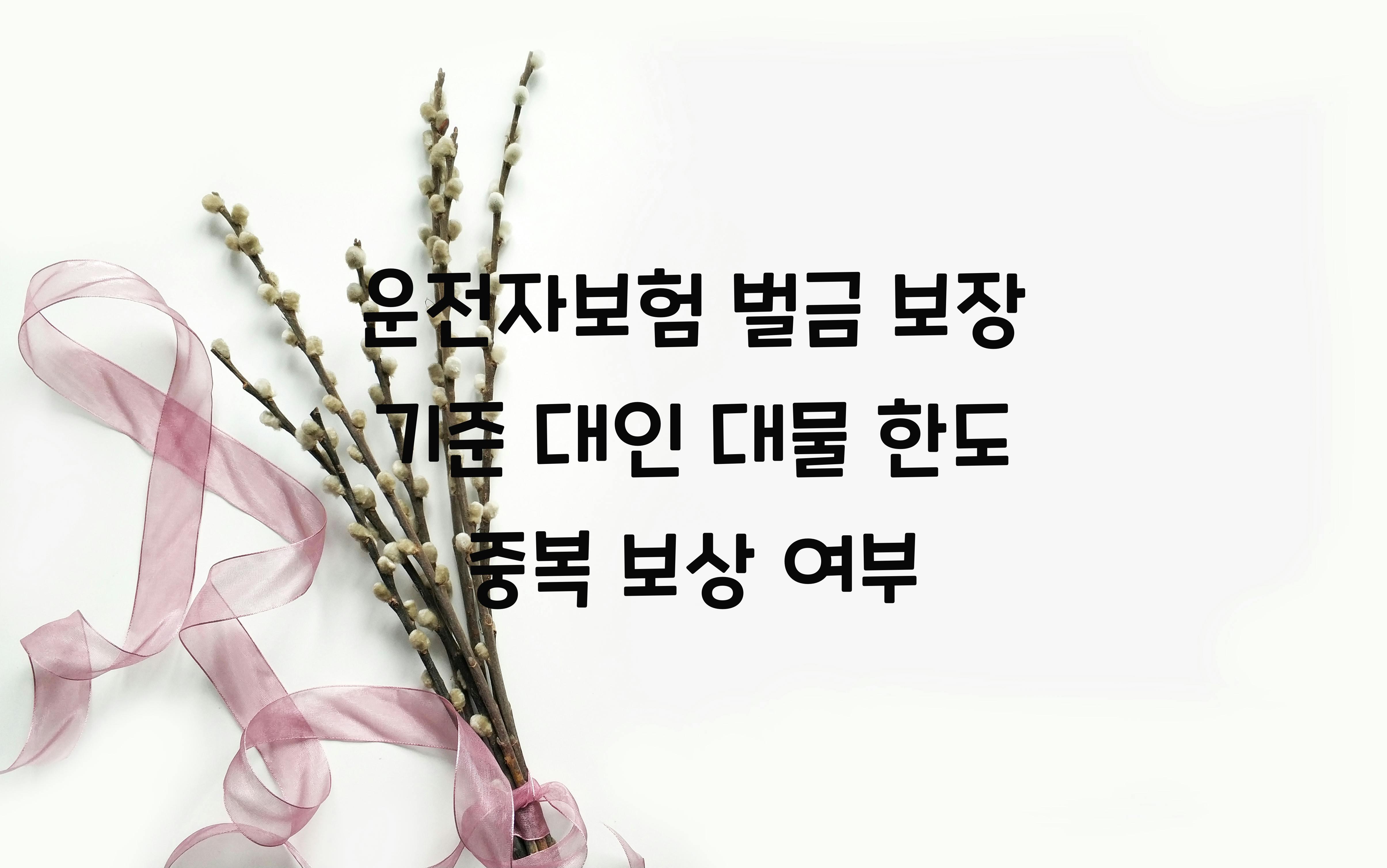 운전자보험 벌금 보장 기준