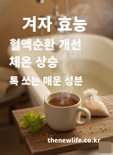 겨자 효능 중 하나인 혈액순환 개선과 체온 상승 효과를 설명하는 따뜻한 겨자차 이미지