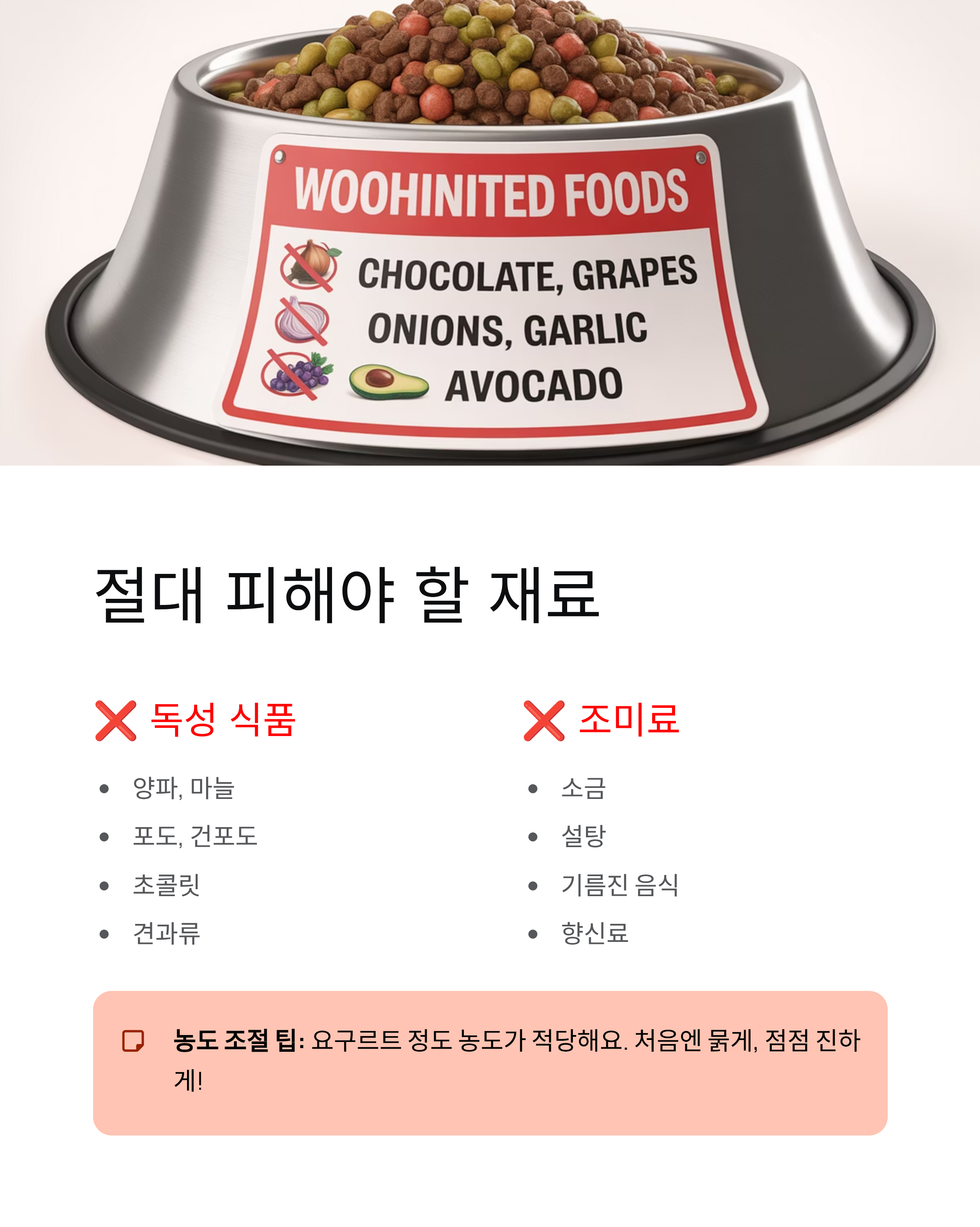 이빨없는 강아지 밥먹이기 - 노견 사료와 유동식 완벽 가이드! 🐶