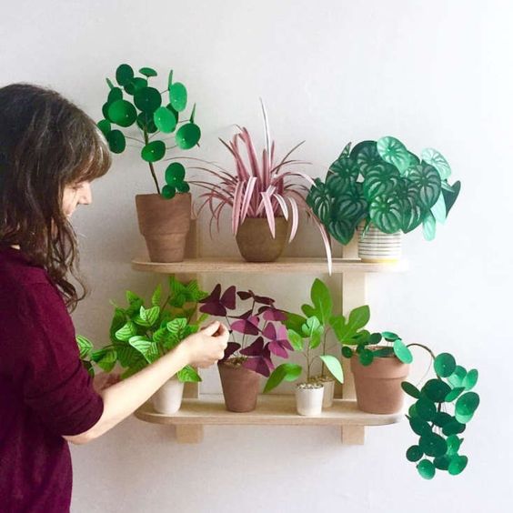 실내에서도 식물이 잘 자랄 수 있을까