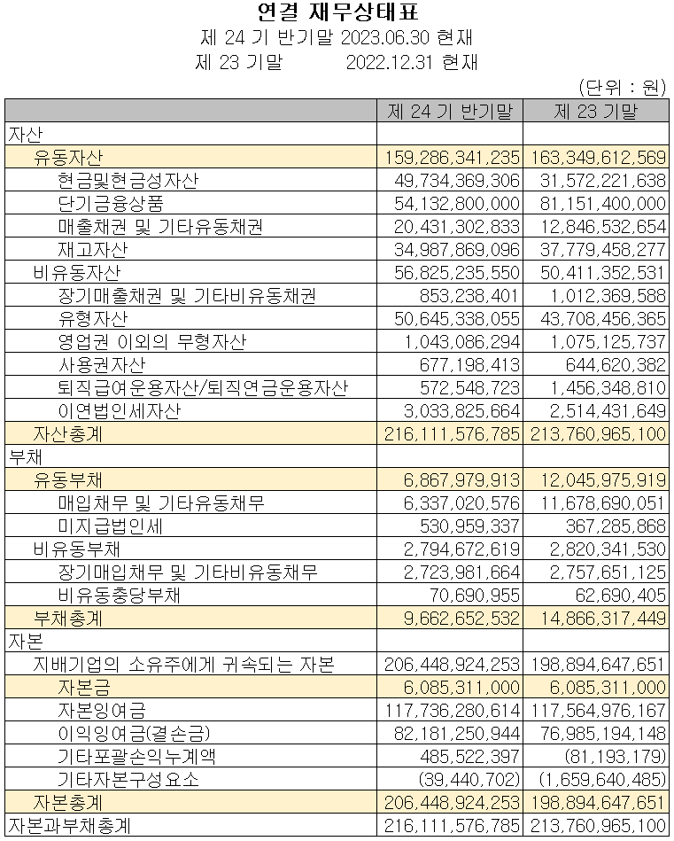 나노신소재 - 재무상태표