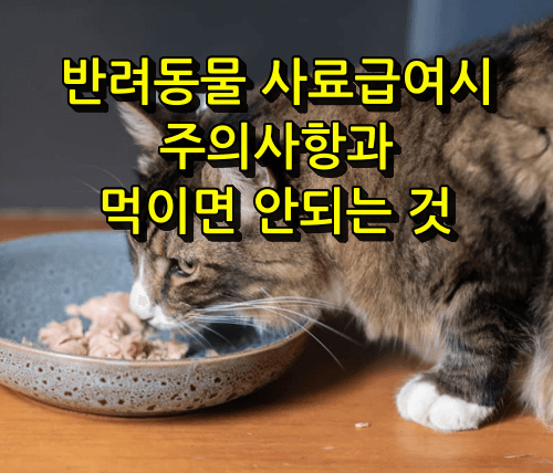 반려동물 먹이면 안되는 것
