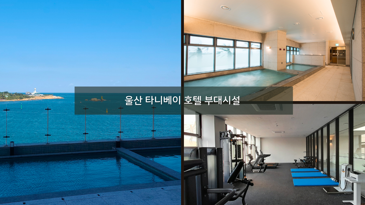 울산 타니베이 호텔 사우나 인피니티풀 피트니스 센터 부대시설 후기