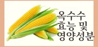 옥수수 효능과 옥수수 삶는 방법 전자렌지 초당옥수수 찰옥수수 차이 비교 자료_12