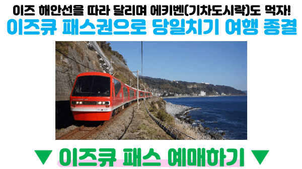 도쿄-근교-여행지-가마쿠라-에노시마-요코하마-하코네-이즈-닛코-카와고에-스이카-애플페이-일본-체크-카드-돈키호테-할인쿠폰