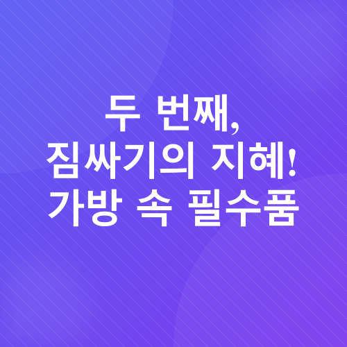 해외여행 체크리스트_2