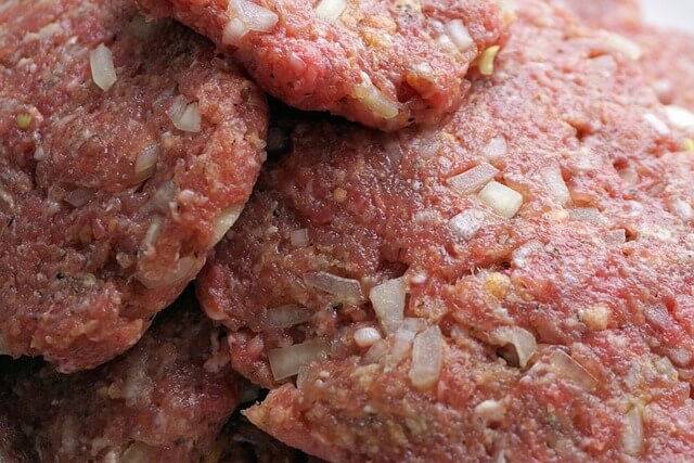 카니보어
