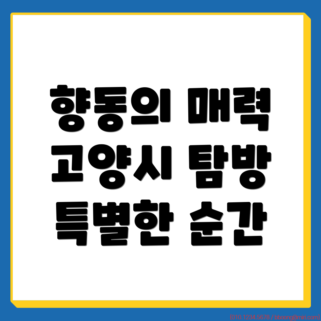 시니어 일자리
