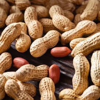 땅콩 효능 칼로리 권장섭취량_25