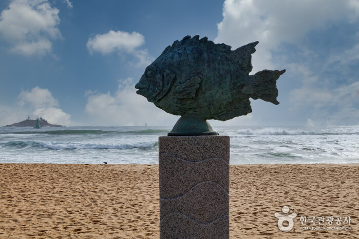 속초 가볼만한곳 베스트 10