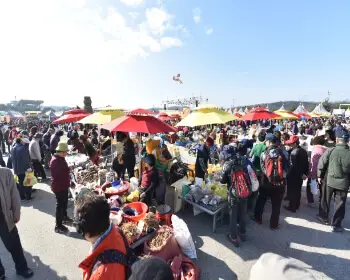 파주 장단콩축제_36