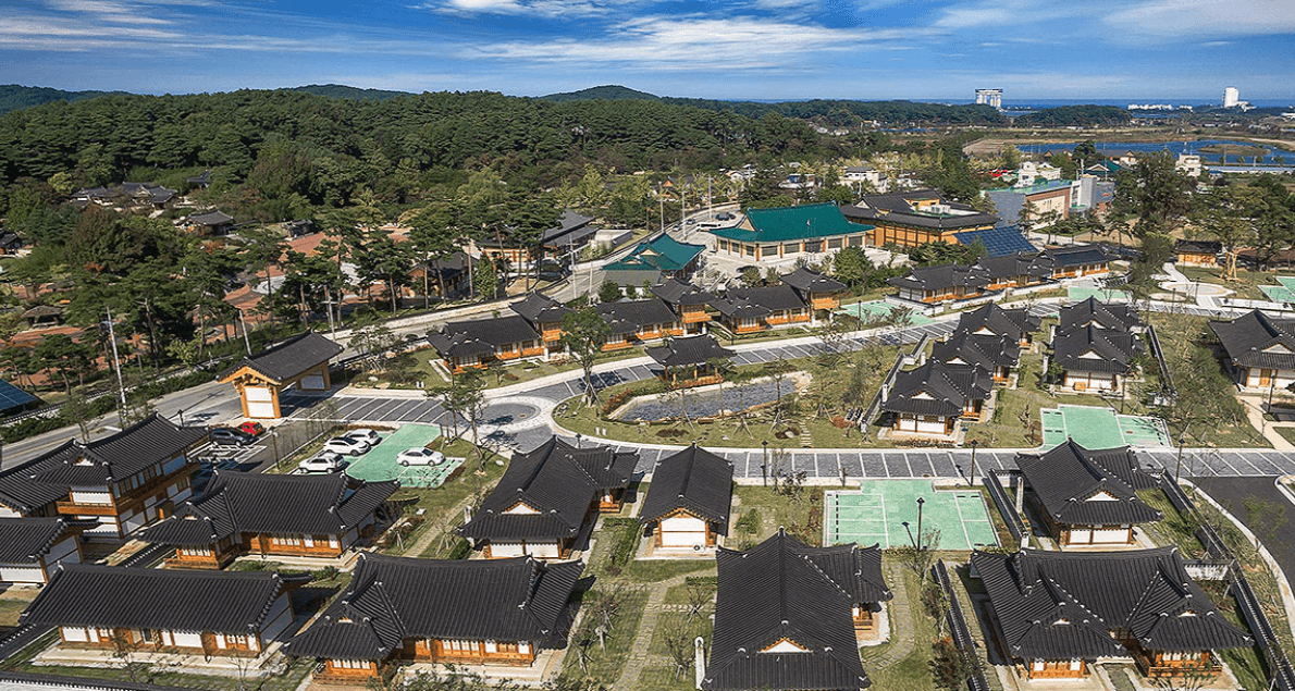 처음 가도 걱정 없는 강릉 여행 동선&코스 총정리 관련사진