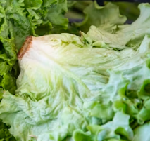 배추 효능 부작용 칼로리