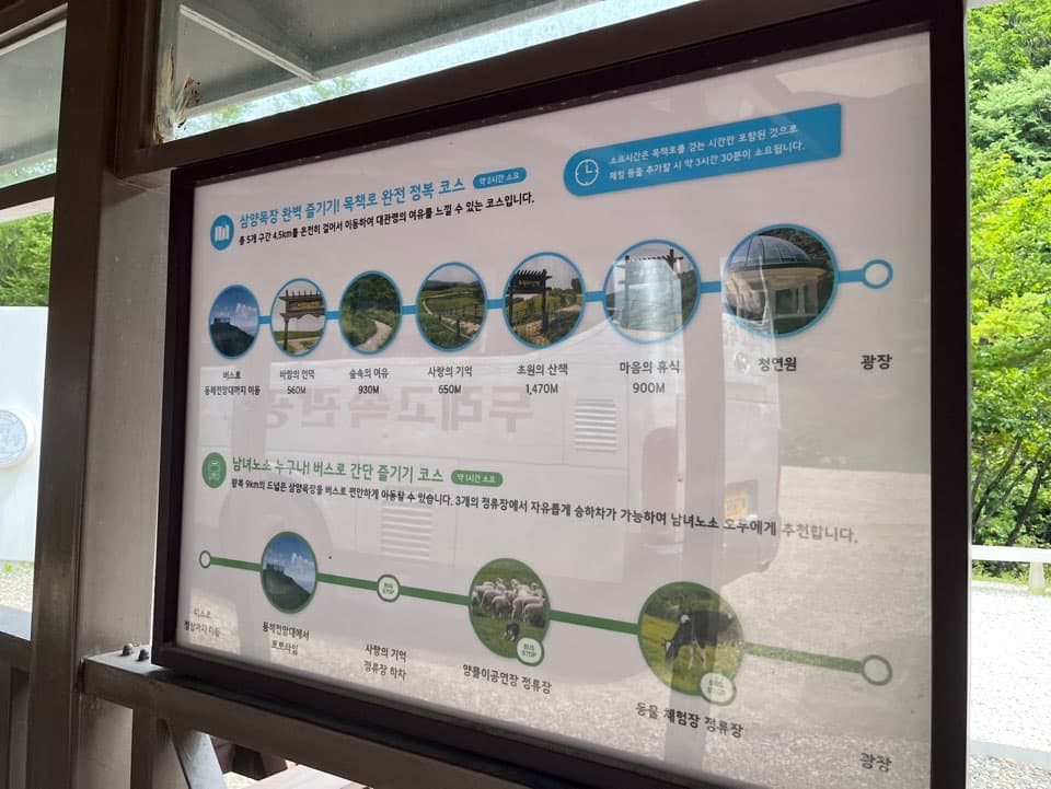 대관령 삼양목장 관람 코스