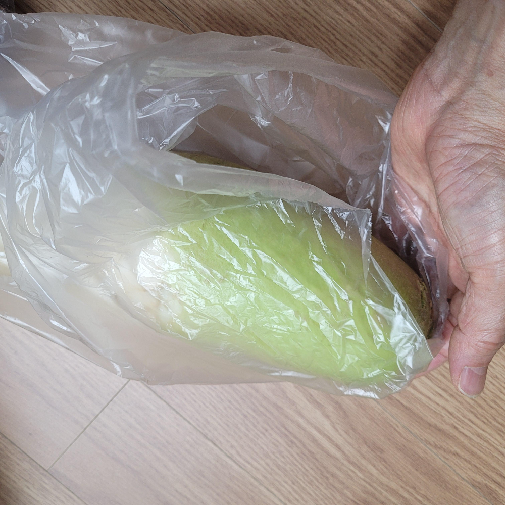 홈플러스 무우 하나 가격